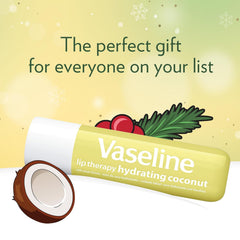 Vaseline Lip Therapy Coconut Macaron Lip Balm Bulk, 12 Twin Packs (24 Sticks) + Lip Protectant, Stocking Stuffers, Secret Santa, 0.32 Oz Ea