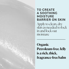 Sky Organics Organic Petroleum-free Jelly, Multi-Purpose Skin Care Balm with Organic Shea Butter, Coconut Oil, Olive Oil & Vitamin E, Moisturizing Lip Balm & Moisturizer for Dry Skin, 2.5 Oz